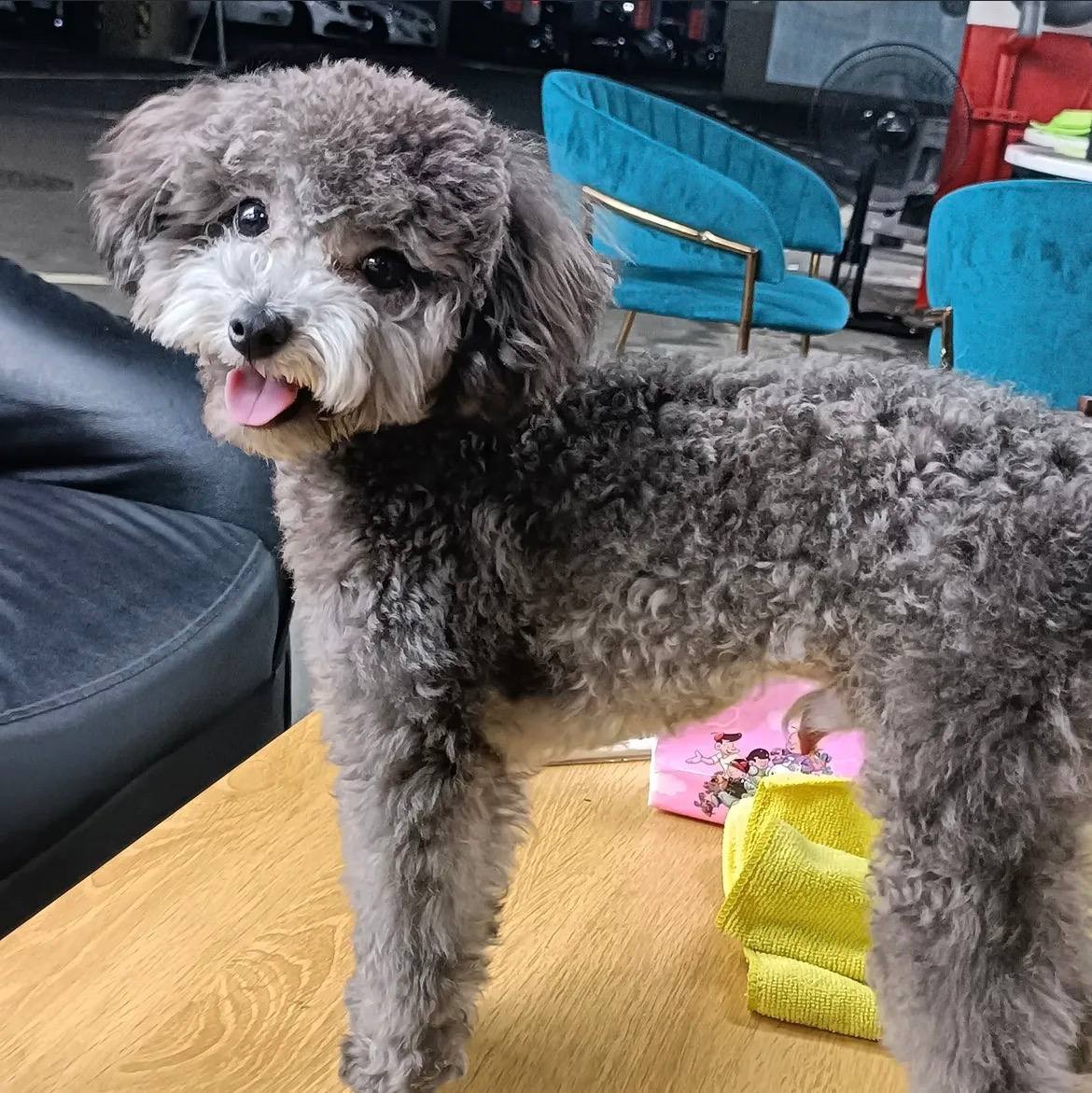 阿成姐小小賣場