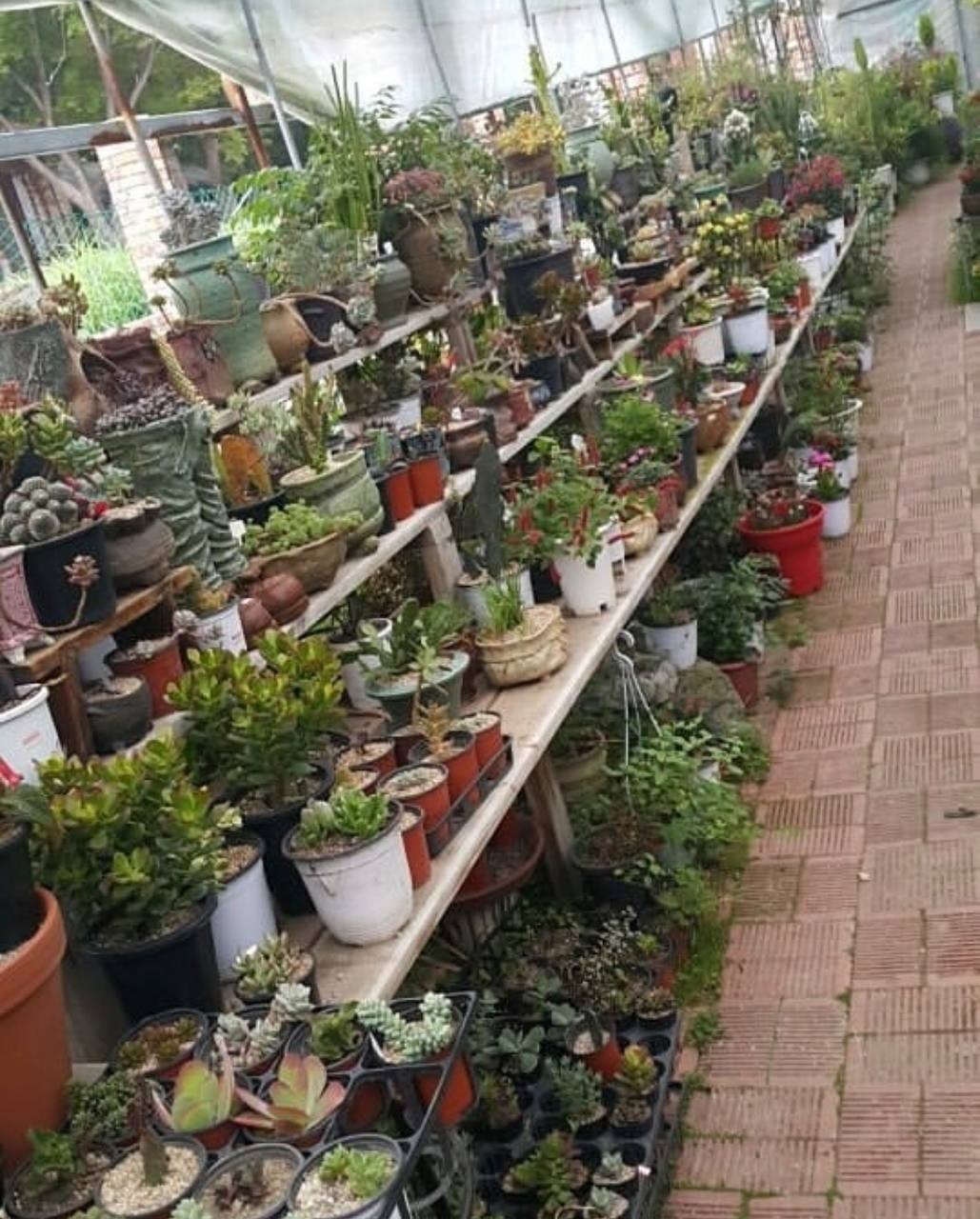 吳店面
